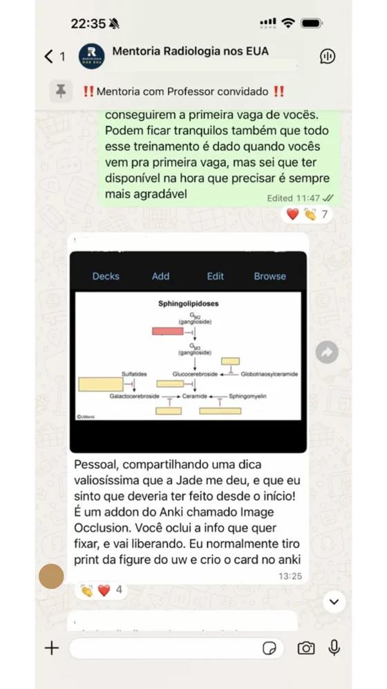 Print de conversa do grupo de mentoria