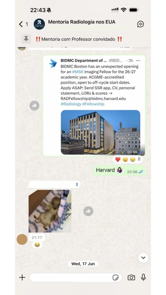 Print de conversa do grupo de mentoria